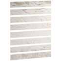 Cerused Poplar Light