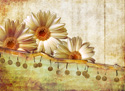 Floral Art Daisy Hill
