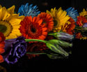 Floral Assorted Flowers Two