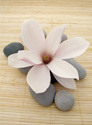 Floral Flower Stones