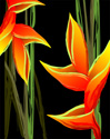 Floral Gladiola Flower Art