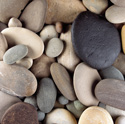 Nature Rocks