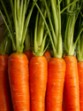 Restaurant Carrot