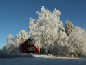 Serene Landscapes Barn