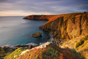 Serene Landscapes Coast