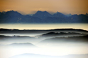 Serene Landscapes Fog
