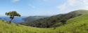 Serene Landscapes Green Landscape
