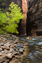 Serene Landscapes River Canyon