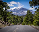 Serene Landscapes Road