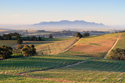 Serene Landscapes Wine Valley
