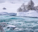 Serene Landscapes Winter