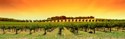 Serene Landscapes Yellow Vines