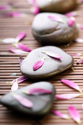 Spa Spiritual Stone Path