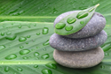 Spa Spiritual Stones on Leaf