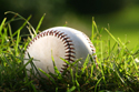 Sports Baseball