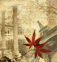 Travel Map and Leaf