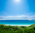 Tropical Landscapes Bay