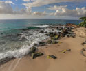 Tropical Landscapes Beach Rocks