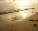 Tropical Landscapes Beach Sunset