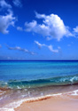 Tropical Landscapes Beach Two