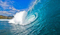 Tropical Landscapes Blue Wave