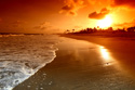 Tropical Landscapes Bright Beach