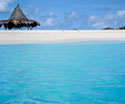 Tropical Landscapes Hut