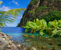 Tropical Landscapes Waterside