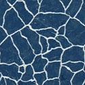 White Veins Blue Marble