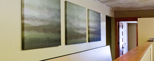 Split Image Panels