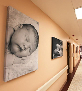 Acoustic Panels for Victoria Webb Photography Acoustic Panels for Victoria Webb Photography