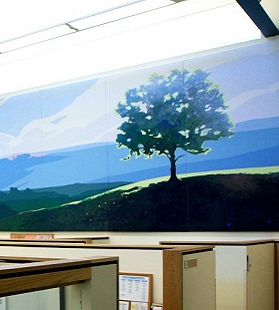 Custom Fabric & Image Acoustic Panels